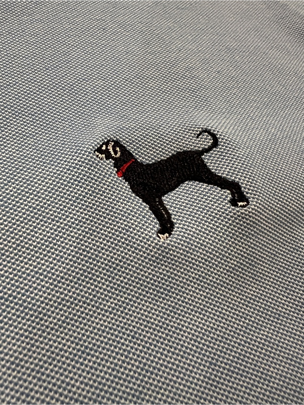 The Black Dog Men’s Blue Polo Shirt - Size XL - Picture 4 of 12
